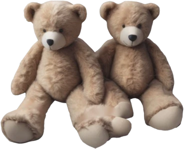 Two teddy bears